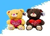 Soft Bear W/Heart 30cm TS349