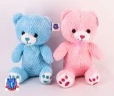 35CM BEAR PINK & BLUE