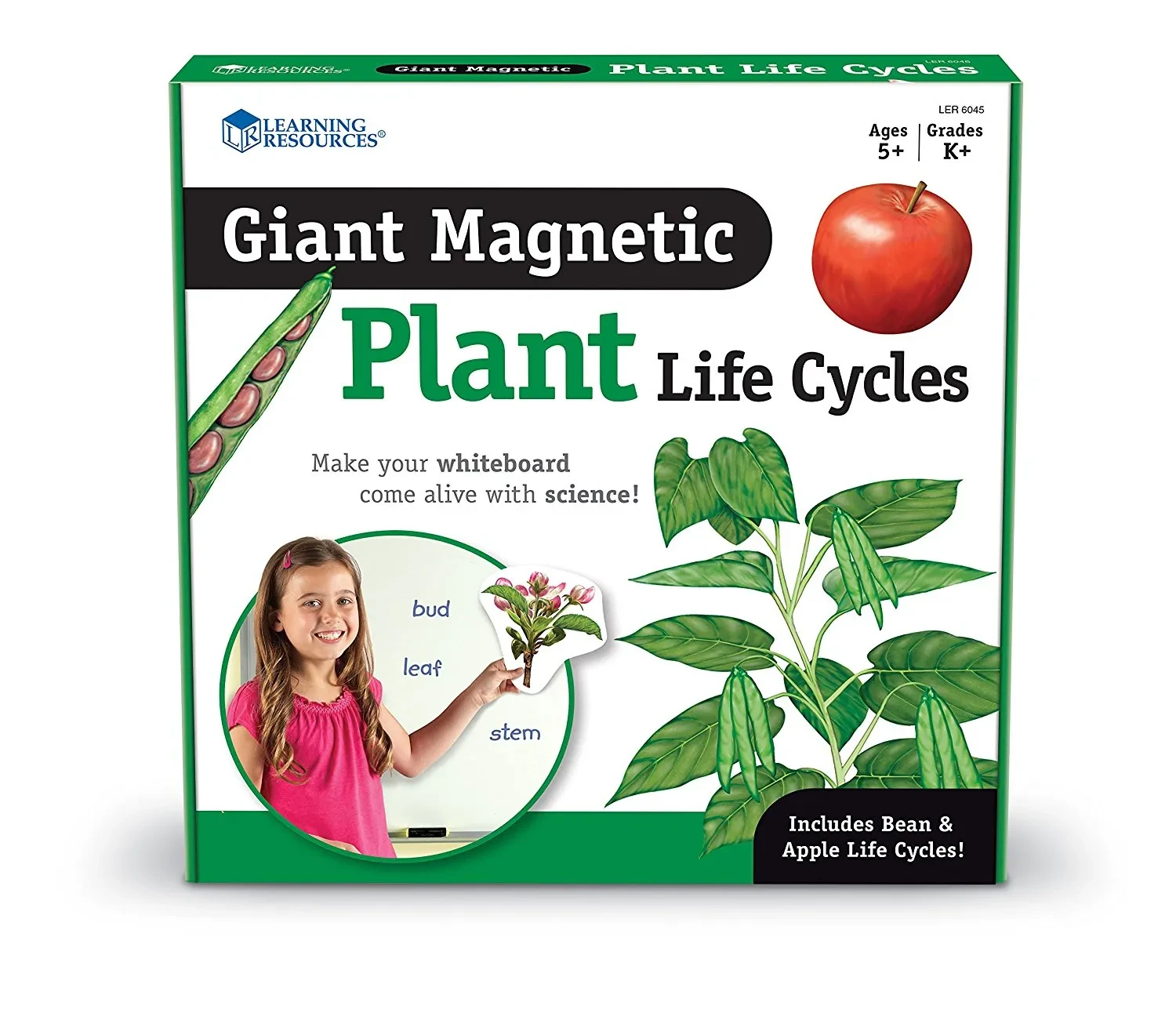 Magnetic Plant Life Cycle Set for Exploring Plant Growth Stages