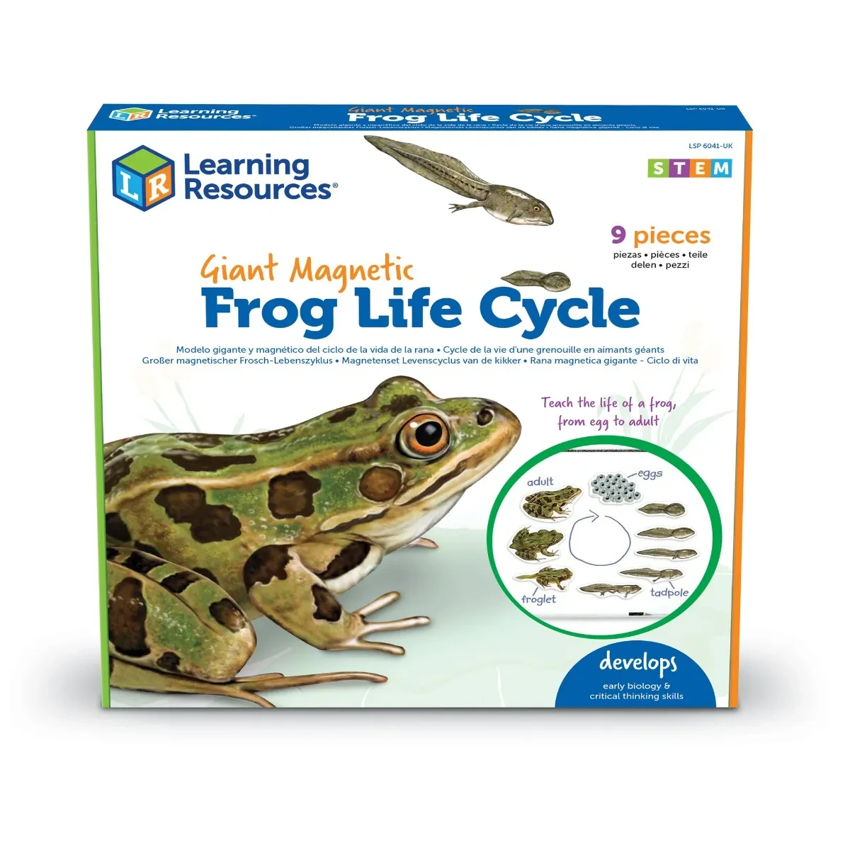 Giant Magnetic Frog Life Cycle Set for Hands-On STEM Education