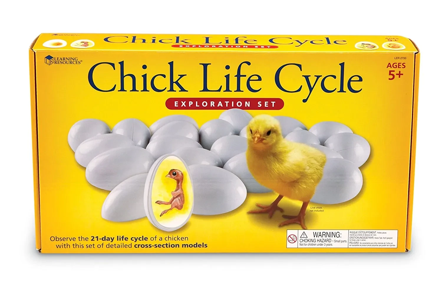 Chick Life Cycle Exploration Set for Hands-On Science Learning